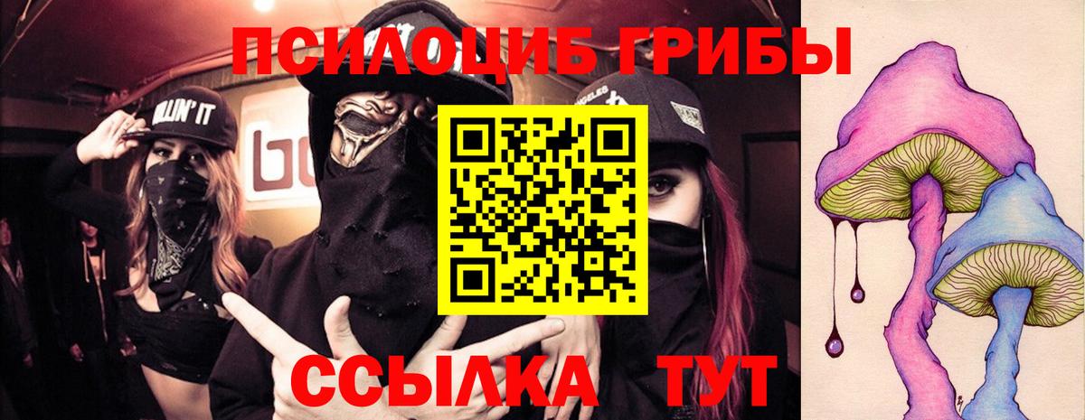 Псилоцибиновые грибы мицелий  Вход с VPN  Людиново  Галлюциногенные грибы Cubensis 