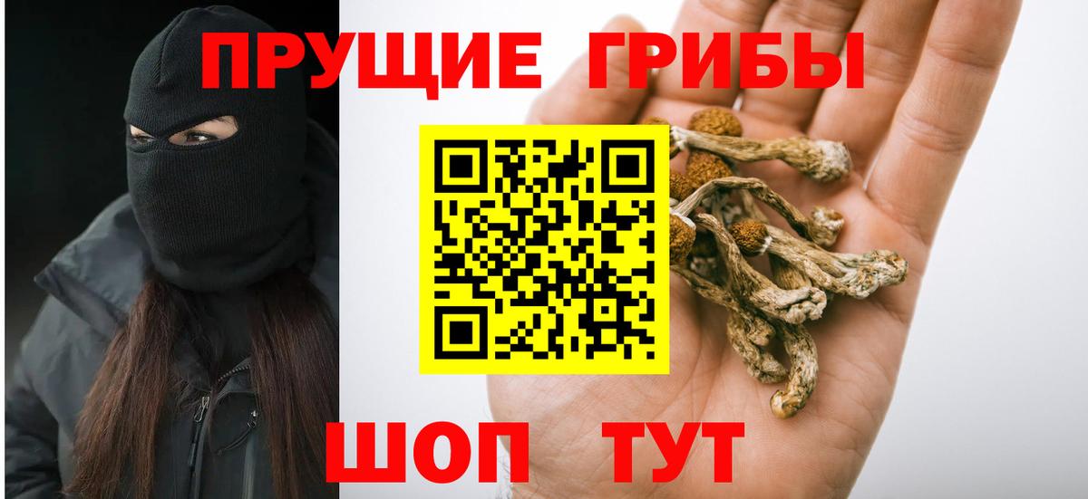 Псилоцибиновые грибы Magic Shrooms Людиново